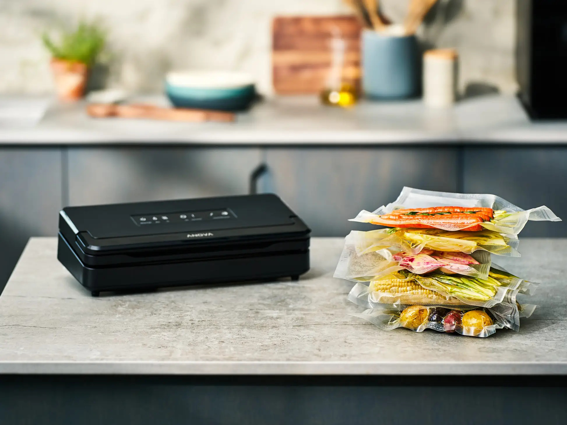 9 Best Vacuum Sealer Machines For Home Cooks And Chefs